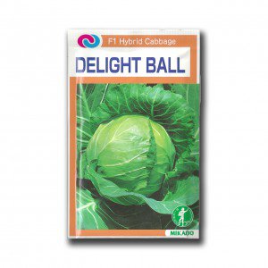 Seminte de varza alba Delight Ball F1 Mikado