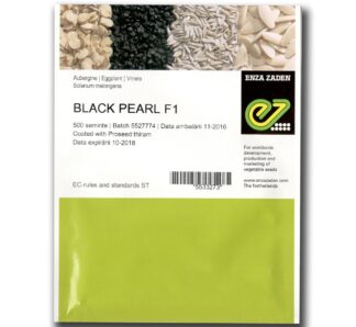 Seminte de vinete Black Pearl F1