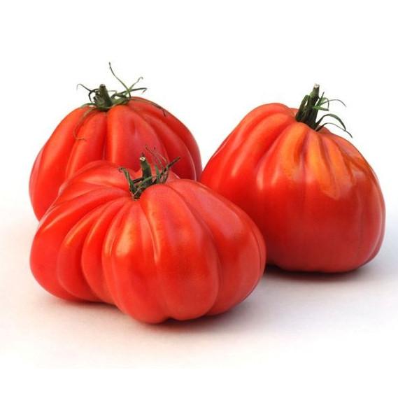Inima-de-albenga-tomate-seminte-rosii-inima-de-albenga-soi-italian-de-la-opal-florian-bulgaria-pret-bulgaresti