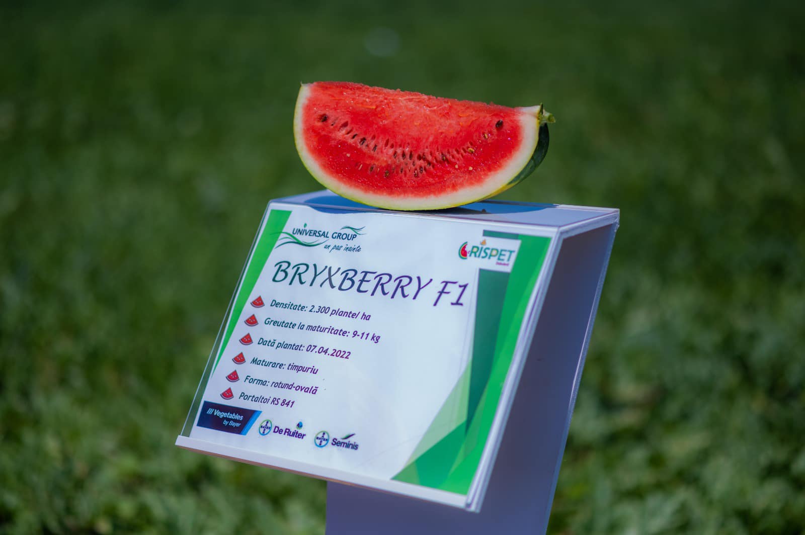 brybxberry f1 – 2