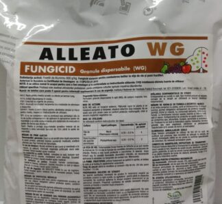 afrasa-alleato-wg