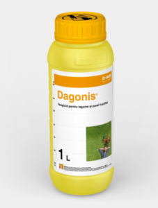 basf-dagonis