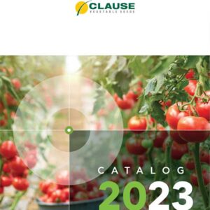 catalog clause pdf