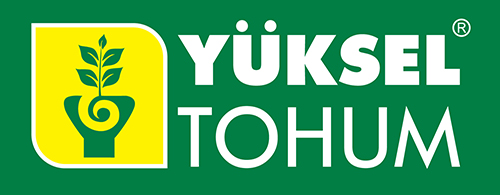 Producator Yuksel Tohum