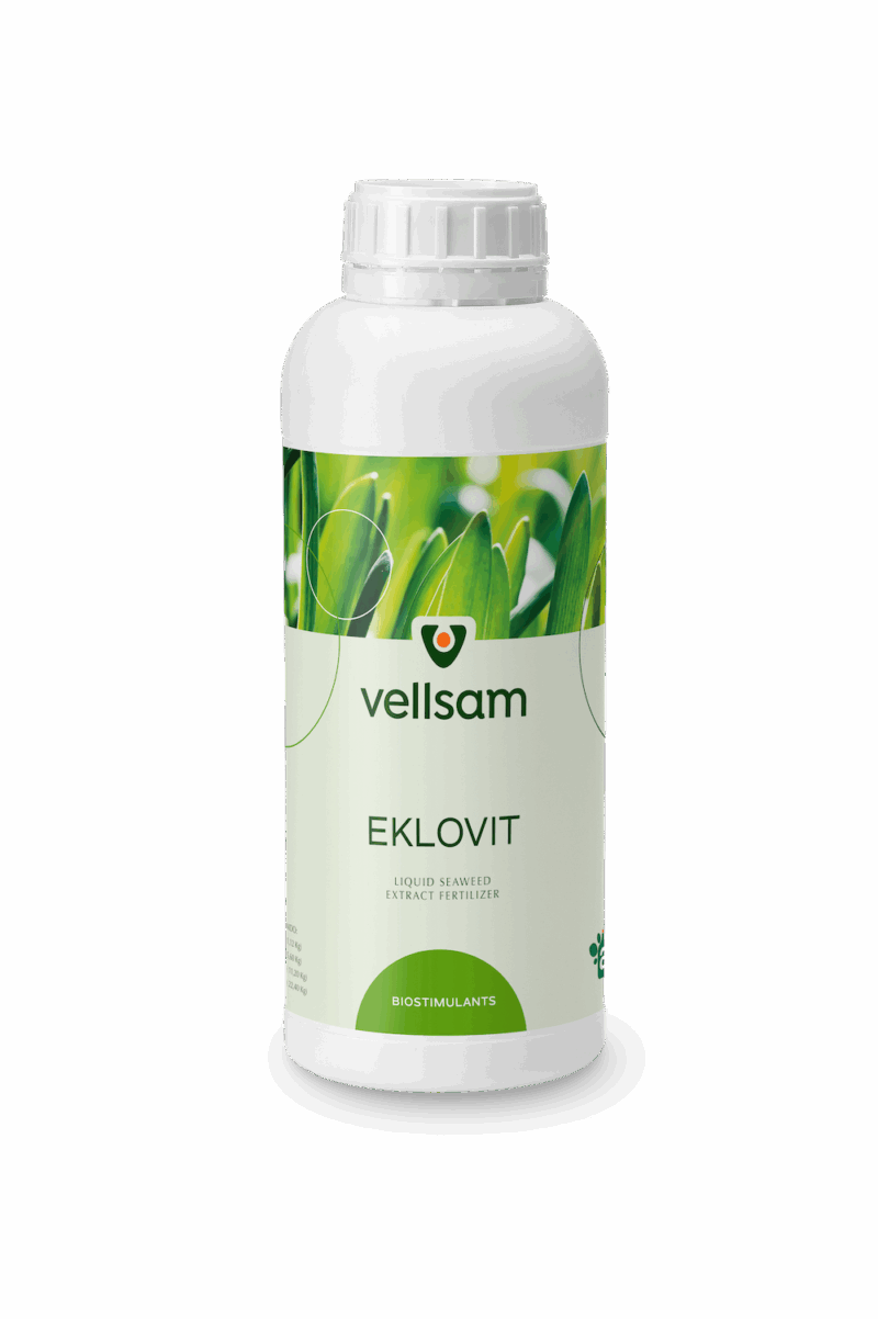 Eklovit 1 L, Vellsam