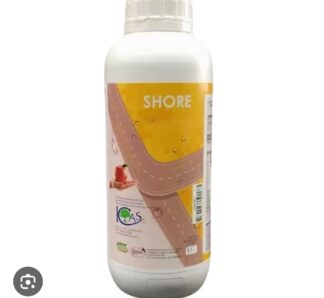 Shore 1 L, ICAS