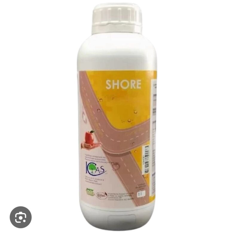 Shore 1 L, ICAS