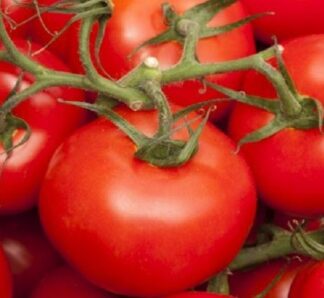 Seminte de tomate Belle F1, 500 seminte, Enza Zaden