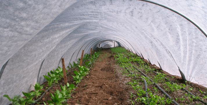 Folie Microporoasa Agril, anti inghet 23 grame/m2 - imagine 2