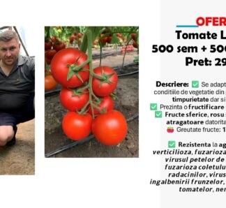 Seminte tomate Lacarta F1, 500 seminte, Hazera. Oferta 1 plic + 1 gratuit