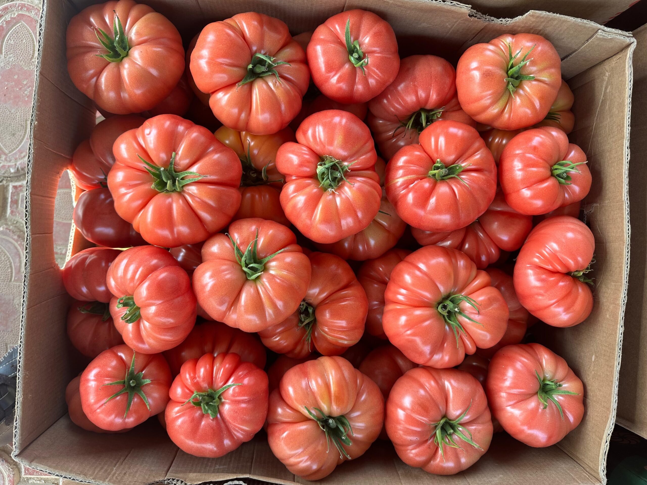 Tomate roz Buffalopink F1, 250 seminte, Clause