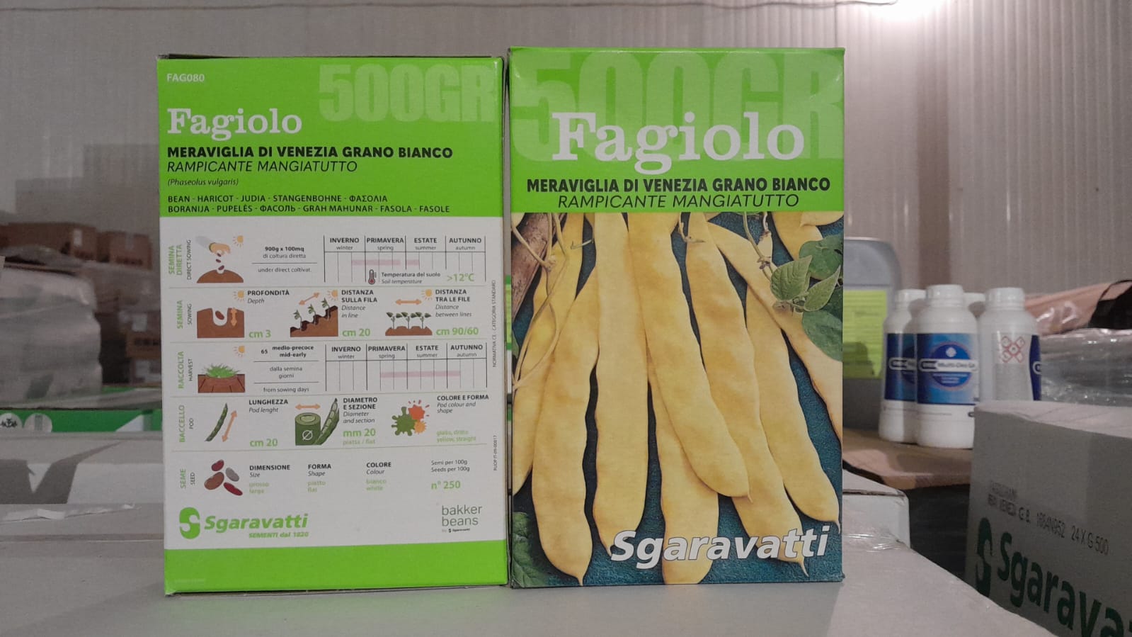 Seminte de Fasole Urcatoare Maraviglia di Venezia 500 grame