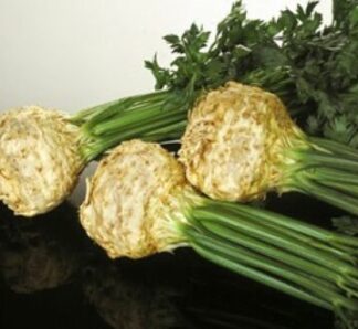 Seminte de telina Monarch, 10.000 seminte, Nunhems