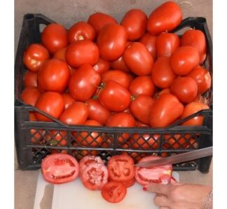 Seminte tomate Serengheti F1, 1000 seminte, Clause