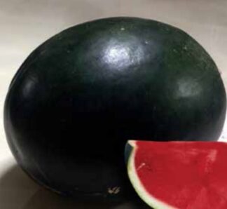 Pepene negru Alexandru F1 1000 seminte, Argeto