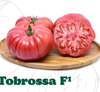 Seminte de tomate Tobrosa F1, 1000 seminte, YUKSEL