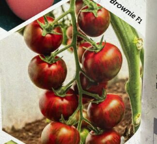 Seminte de tomate Brownie F1, 50 seminte, Biogya