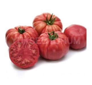 Seminte tomate roz Cassarosa F1, 1000 seminte, YUKSEL