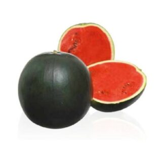 Seminte de pepene Fire Ball F1, 500 Seminte, Sakata
