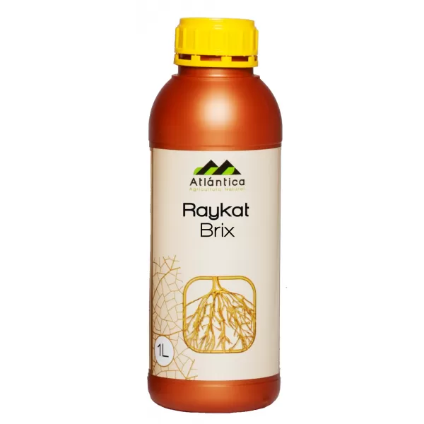 Stimulator pentru marirea procentului de zahar si gust RAYKAT Brix, 1 litru, Atlantica